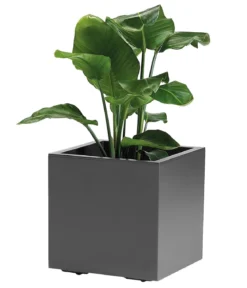 Dehner Kunststoff-Topf Kebe, quadratisch, ca. B40/H40/T40 cm