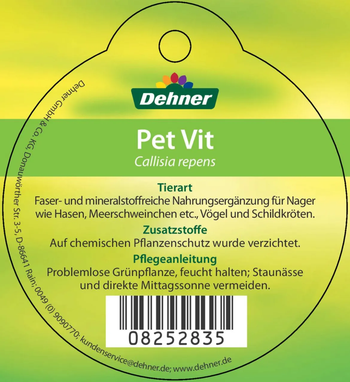 Dehner Lieblinge Callisie 'PetVit'