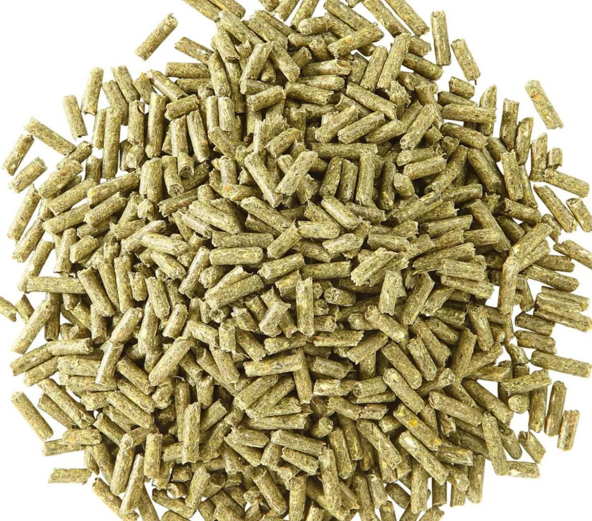Dehner Lieblinge Chinchilla-Futter-Pellets, 5 kg