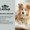 Dehner Lieblinge Floh- und Zeckenschutz Spot On für mittelgroße Hunde, 4 x 2 ml