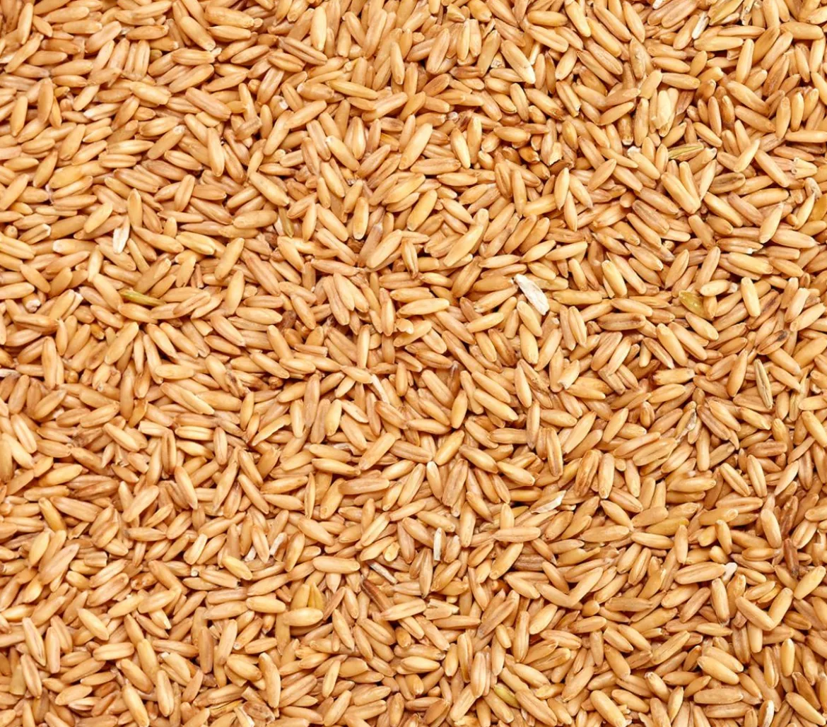 Dehner Lieblinge Geschälter Hafer, 1 kg