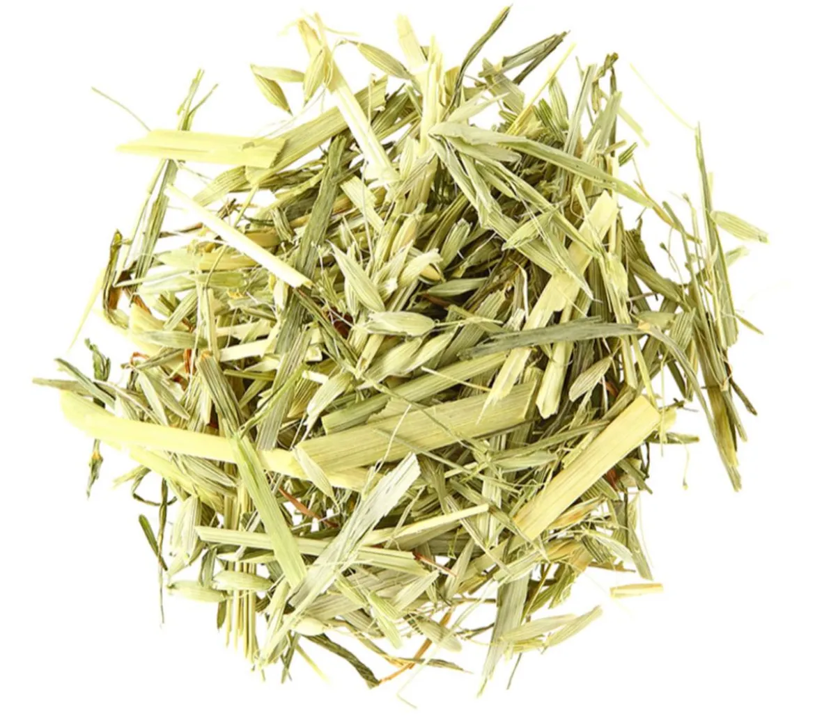 Dehner Lieblinge Grüner Hafer, 75 g