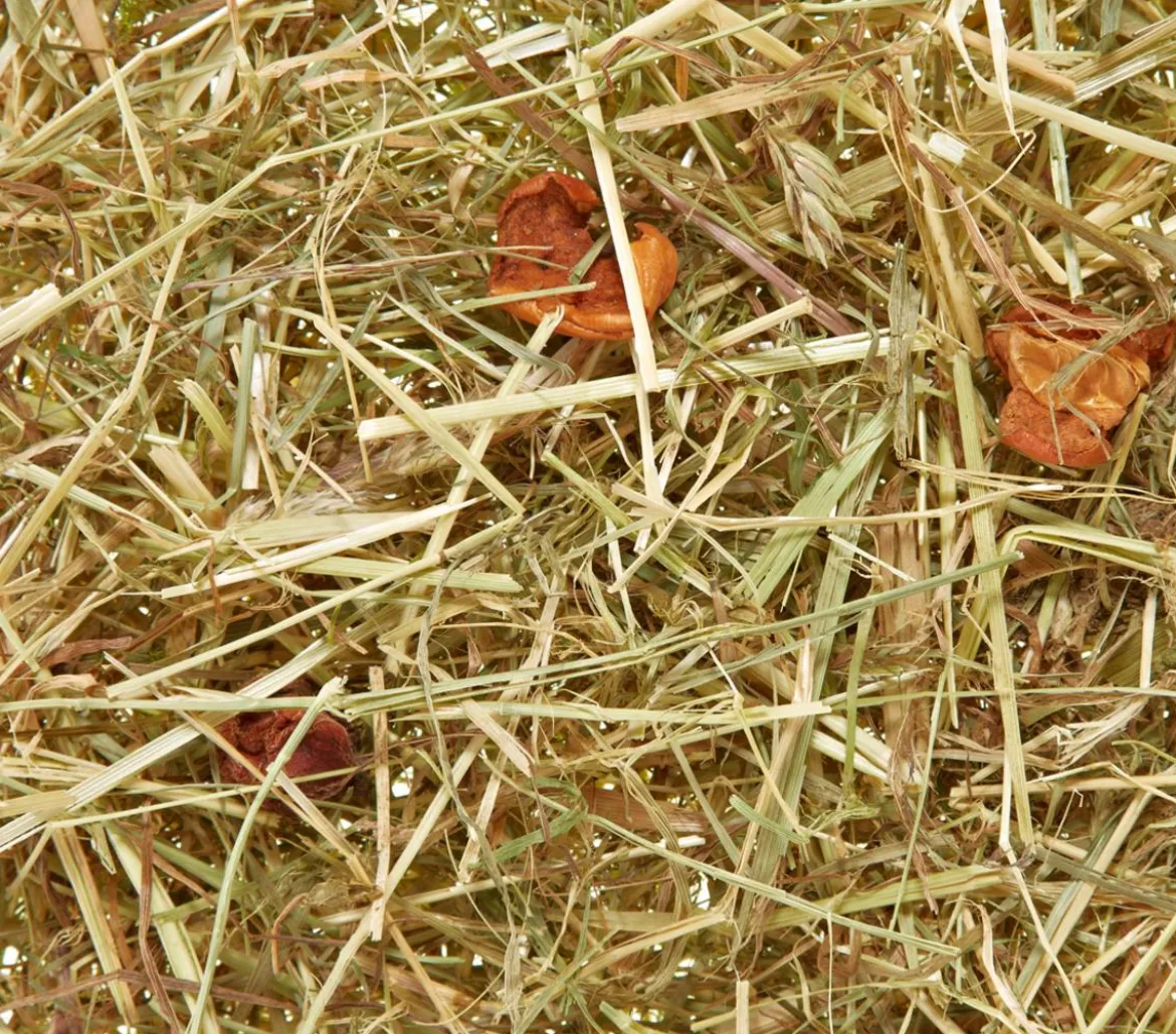 Dehner Lieblinge Heu vom Land mit Apfelstücken, 500 g