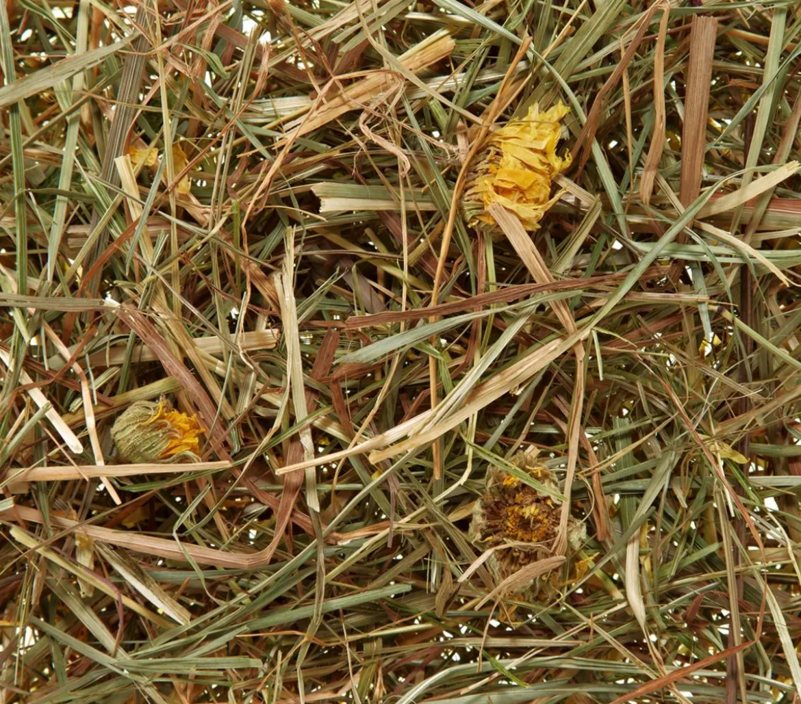 Dehner Lieblinge Heu vom Land mit Löwenzahn, 500 g