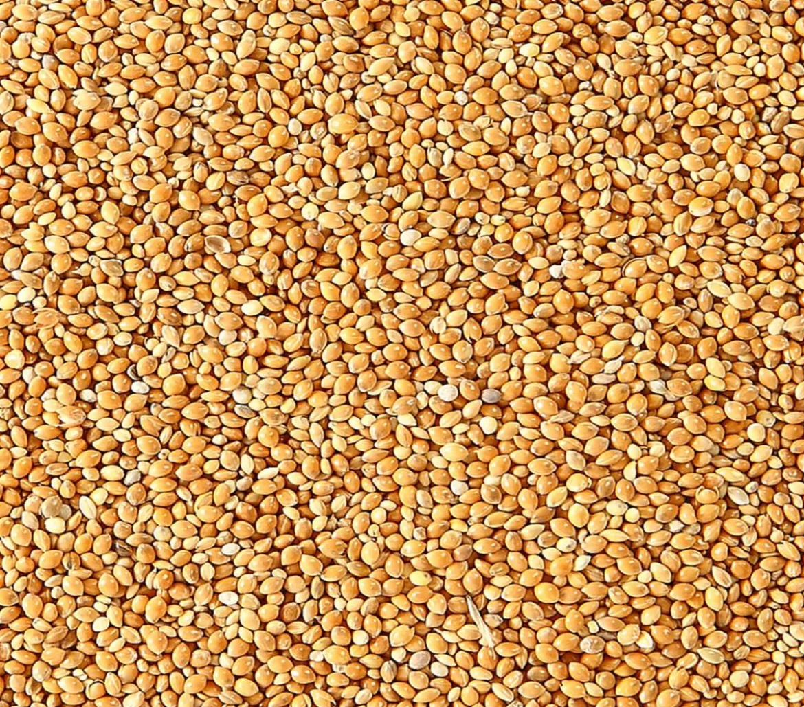 Dehner Lieblinge Honigfutter für Sittiche und Exoten, 20 g