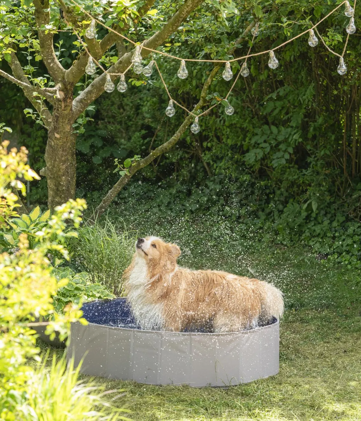 Dehner Lieblinge Hundepool Water Fun, ca. Ø120/H30 cm