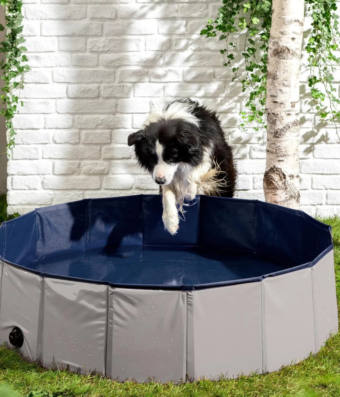 Dehner Lieblinge Hundepool Water Fun, ca. Ø120/H30 cm