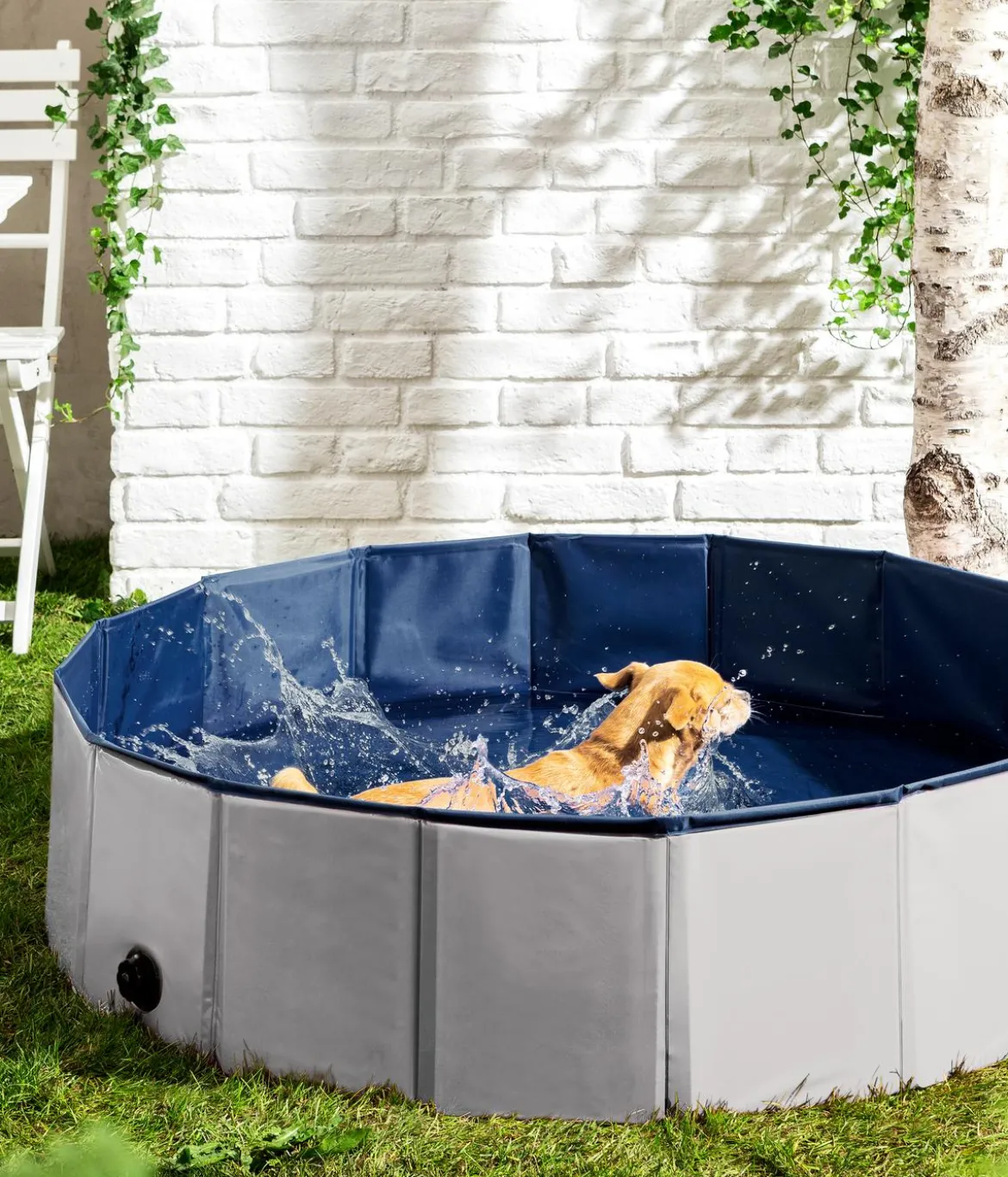 Dehner Lieblinge Hundepool Water Fun, ca. Ø120/H30 cm