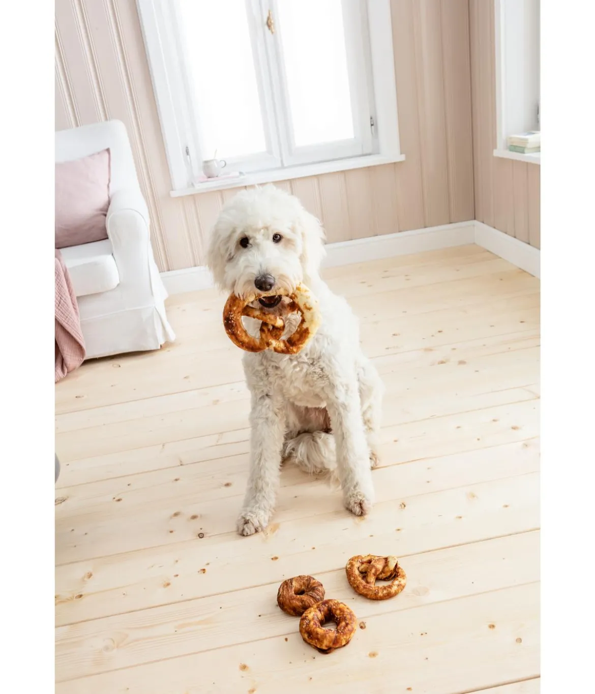 Dehner Lieblinge Hundesnack Hunde-Bagel mit Huhn