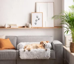 Dehner Lieblinge Hundesofa Taro, quadratisch, weiß