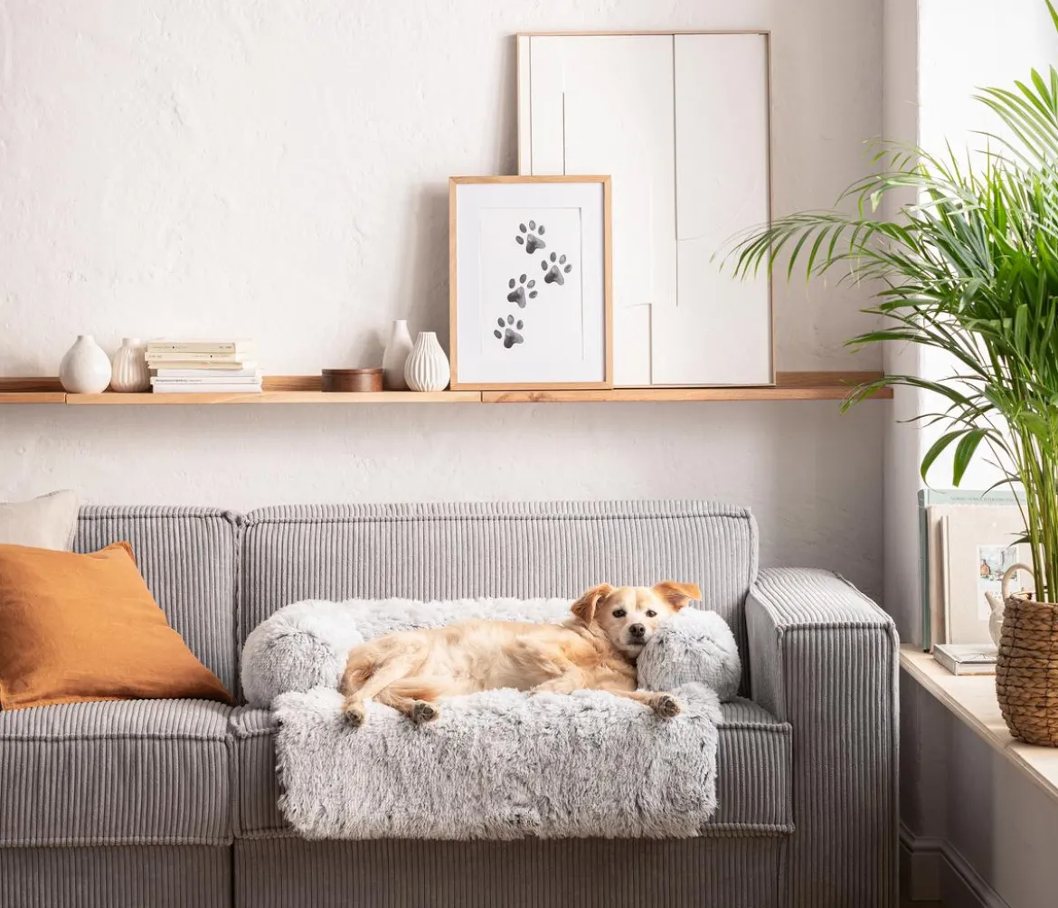 Dehner Lieblinge Hundesofa Taro, quadratisch, weiß