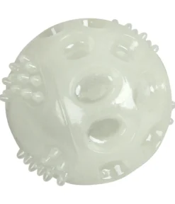 Dehner Lieblinge Hunde-Spielball Luminous
