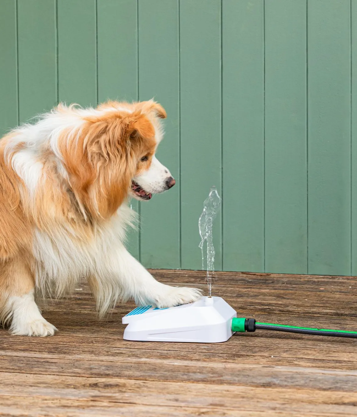 Dehner Lieblinge Hundespielzeug Wasserfontäne Sprinkler, ca. B28/H9/T22 cm