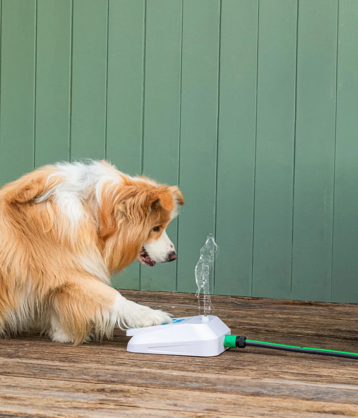 Dehner Lieblinge Hundespielzeug Wasserfontäne Sprinkler, ca. B28/H9/T22 cm