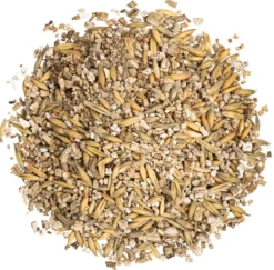 Dehner Lieblinge Katzengras, 2 x 100 g