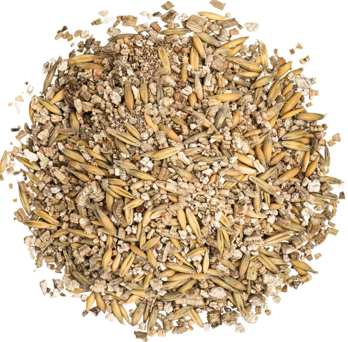 Dehner Lieblinge Katzengras, 2 x 100 g
