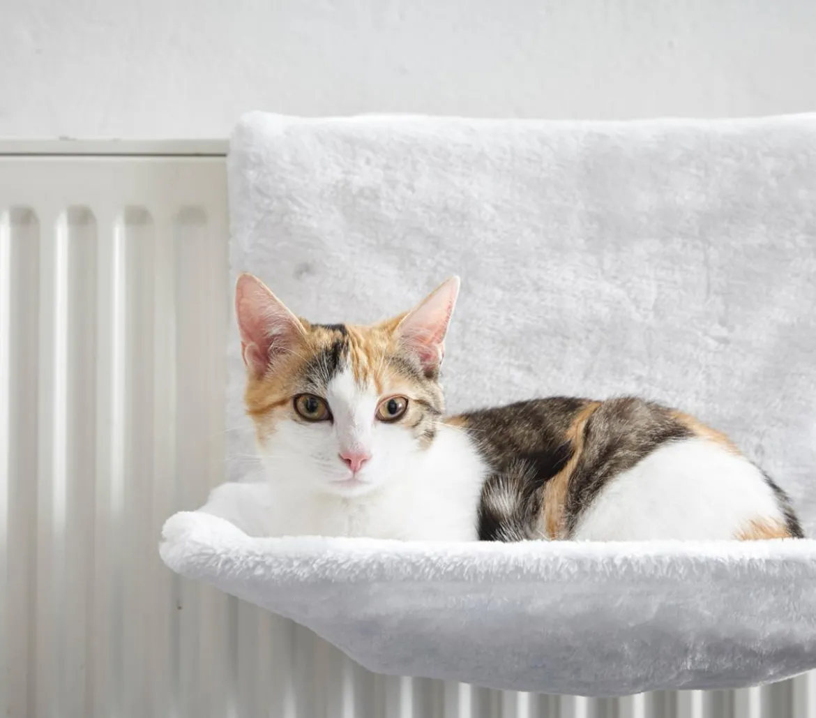 Dehner Lieblinge Katzen-Heizungshängematte Homey