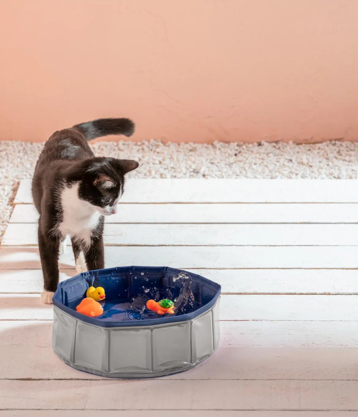 Dehner Lieblinge Katzenpool Water Games, ca. Ø30/H10 cm