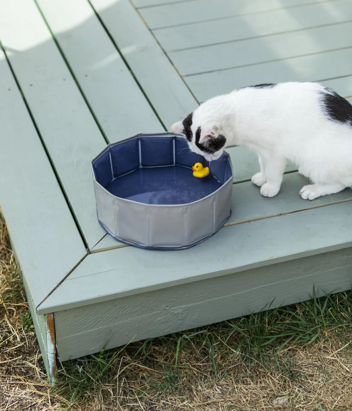 Dehner Lieblinge Katzenpool Water Games, ca. Ø30/H10 cm