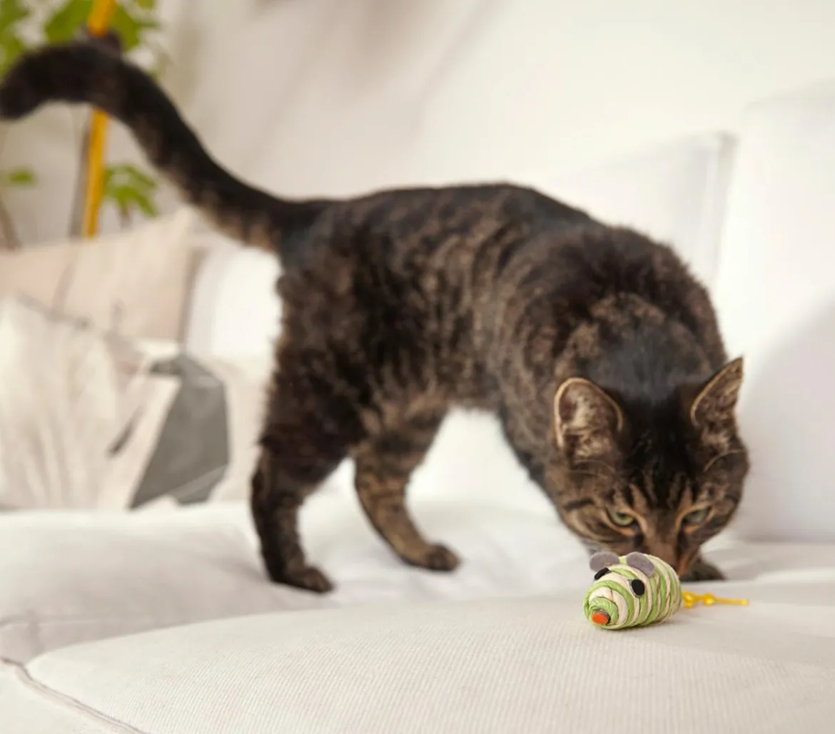 Dehner Lieblinge Katzenspielzeug Spielmäuse Funny, 2er-Set