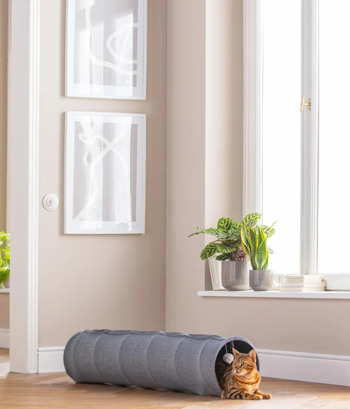 Dehner Lieblinge Katzentunnel Play and rest, ca. B105/H40/T60 cm