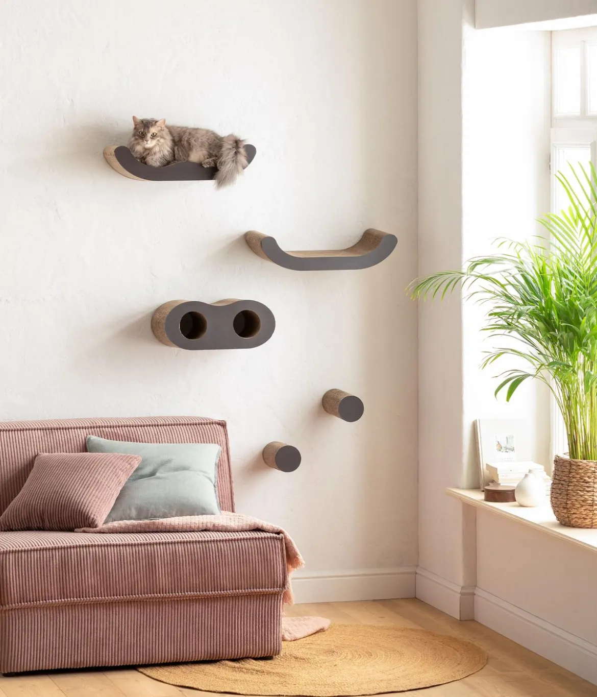 Dehner Lieblinge Kletterwand Sidney, 5-teilig
