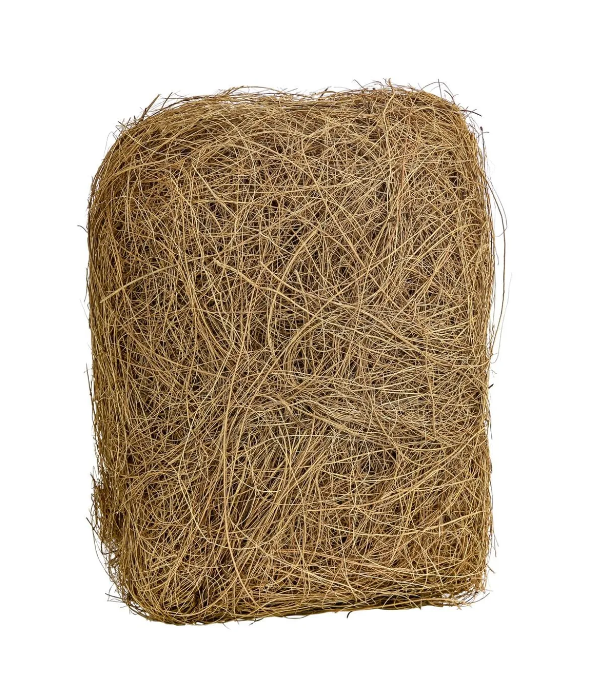 Dehner Lieblinge Kokosfasern, 50 g