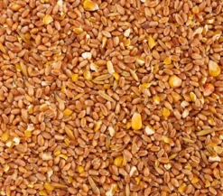 Dehner Lieblinge Körnerfutter für Ziergeflügel, 5 kg
