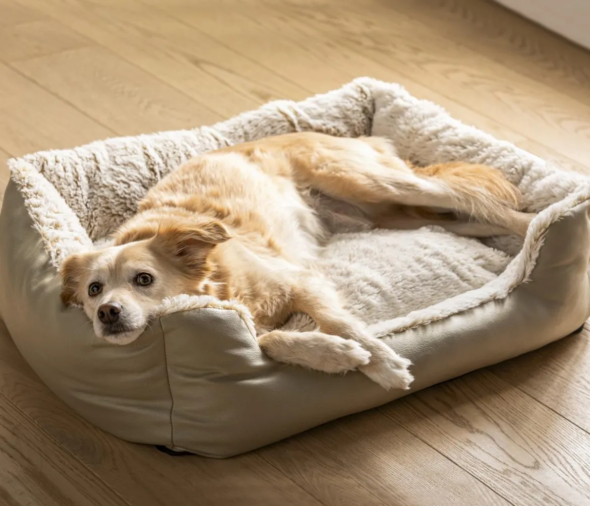 Dehner Lieblinge Kuschelbett Casim, rechteckig, beige/weiß