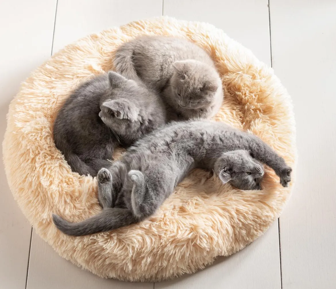Dehner Lieblinge Kuschelbett Cookie, rund