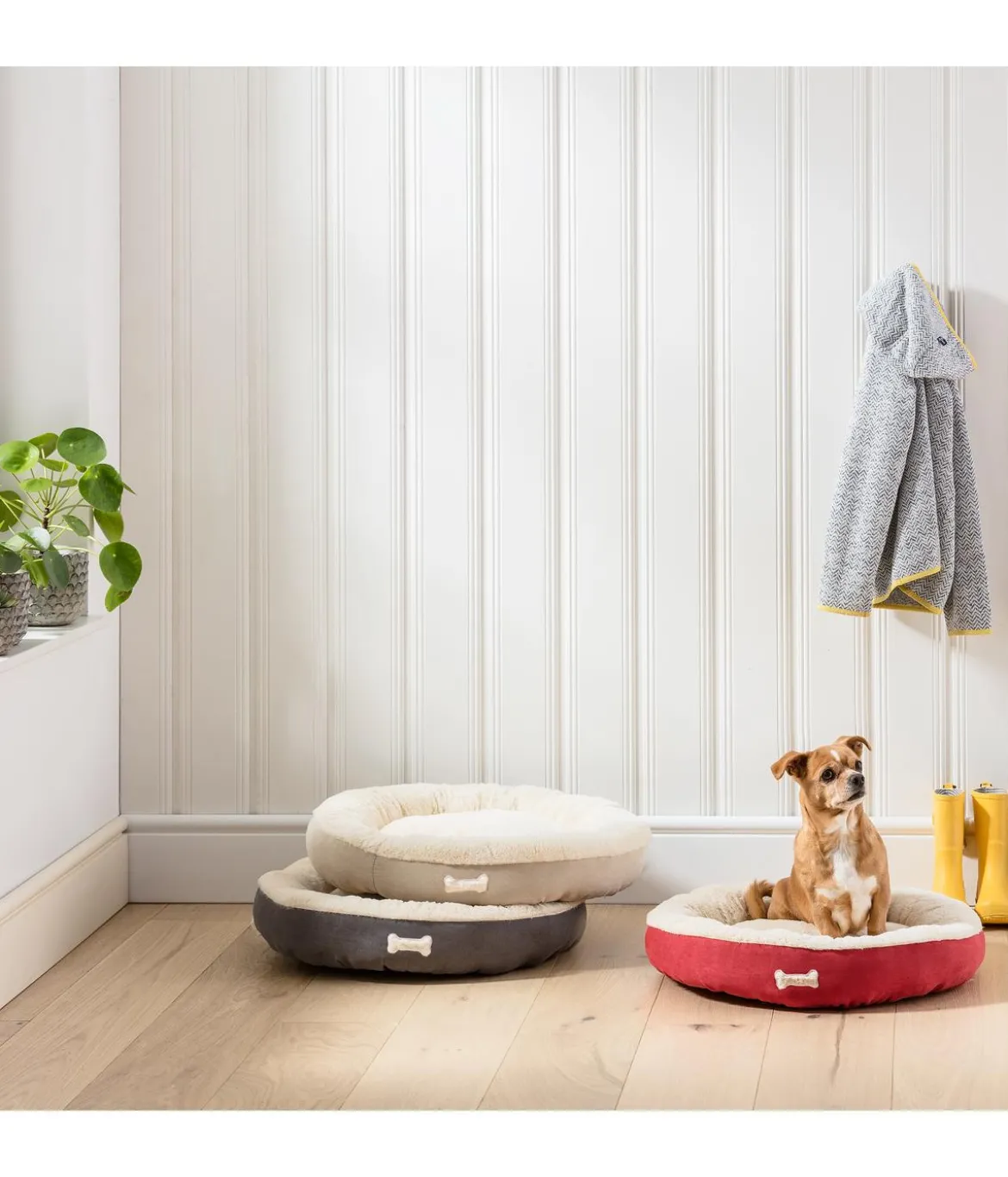 Dehner Lieblinge Kuschelbett Rocky, rund