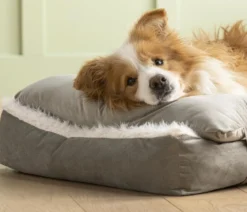 Dehner Lieblinge Kuschelkissen Duchesse, rechteckig