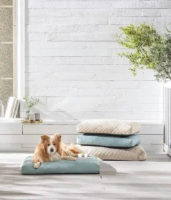 Dehner Lieblinge Kuschelkissen Kenzie, rechteckig, beige