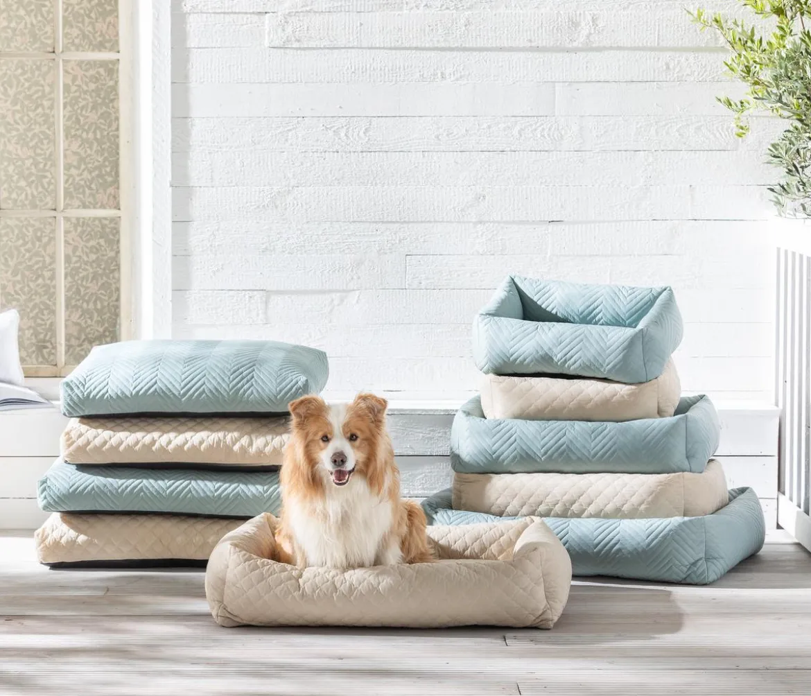 Dehner Lieblinge Kuschelkissen Kenzie, rechteckig, beige