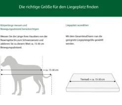 Dehner Lieblinge Kuschelkissen Cleo, rechteckig, grau