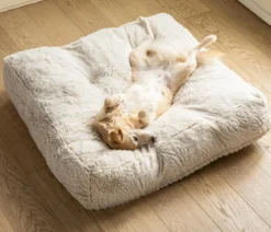 Dehner Lieblinge Kuschelkissen Chichi, rechteckig, weiß, ca. B90/H20/T90 cm
