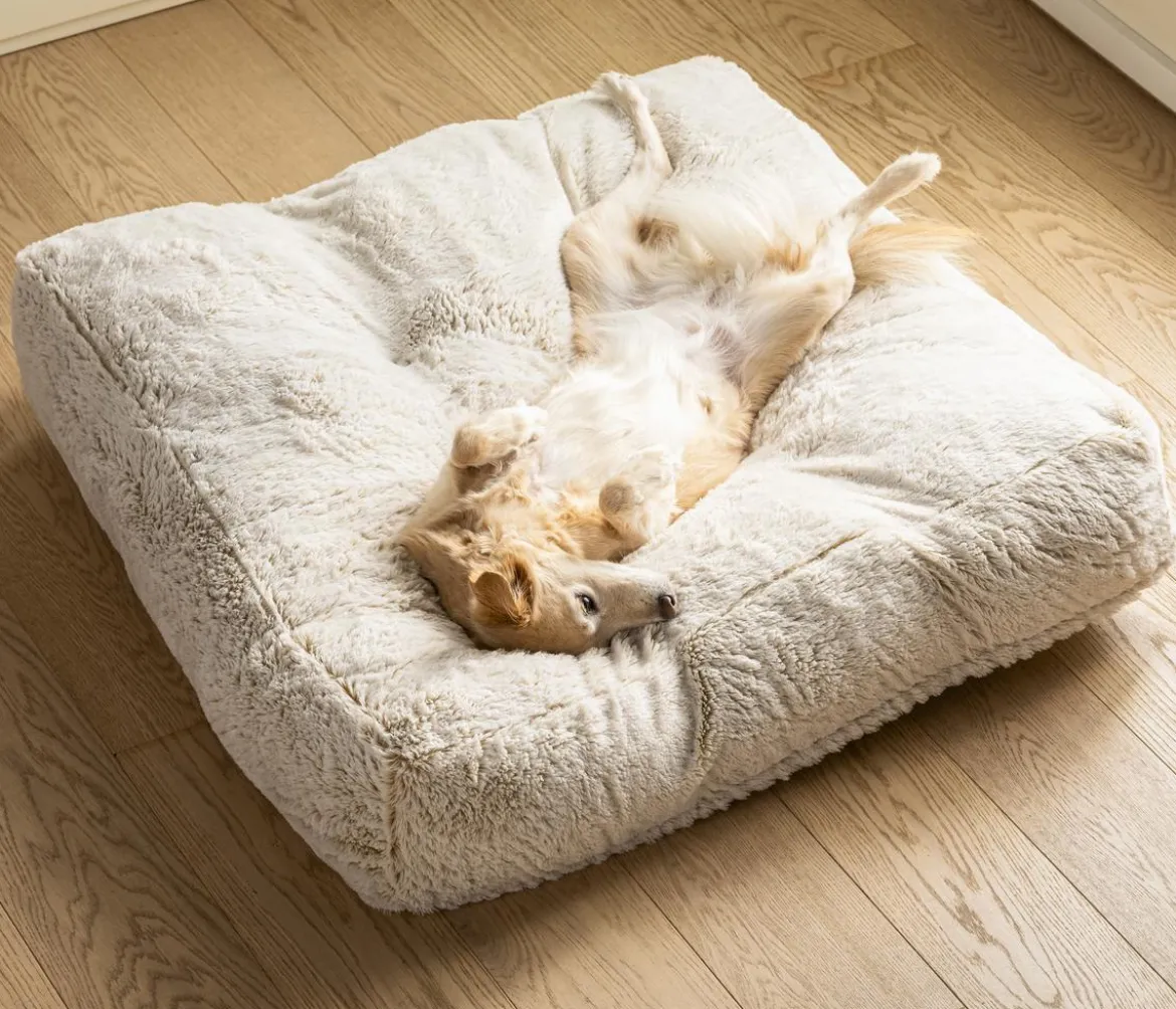 Dehner Lieblinge Kuschelkissen Chichi, rechteckig, weiß, ca. B90/H20/T90 cm
