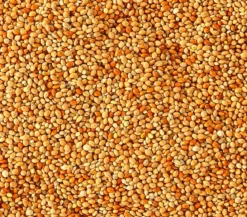 Dehner Lieblinge Lebertranfutter für Sittiche und Exoten, 20 g