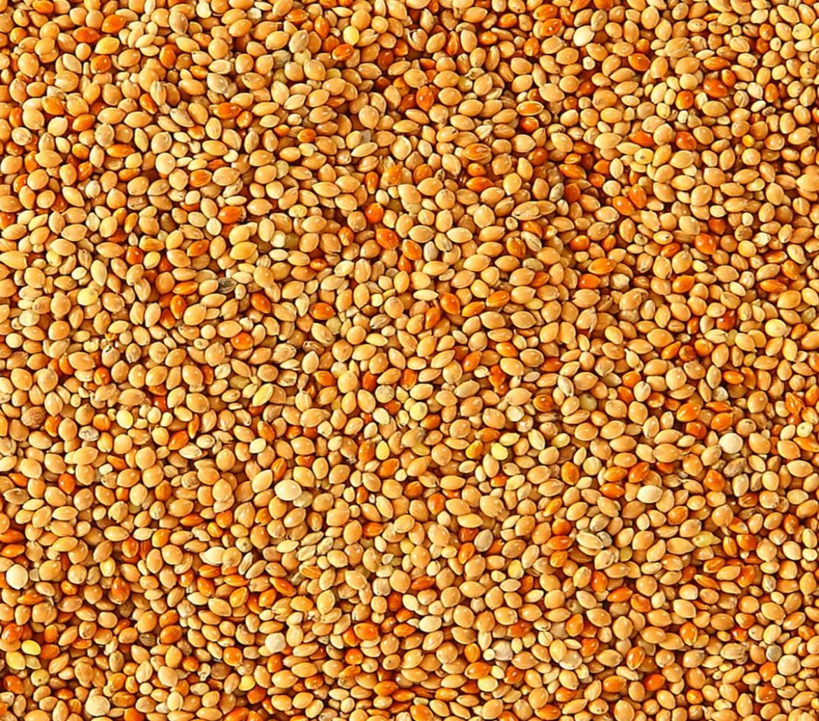 Dehner Lieblinge Lebertranfutter für Sittiche und Exoten, 20 g