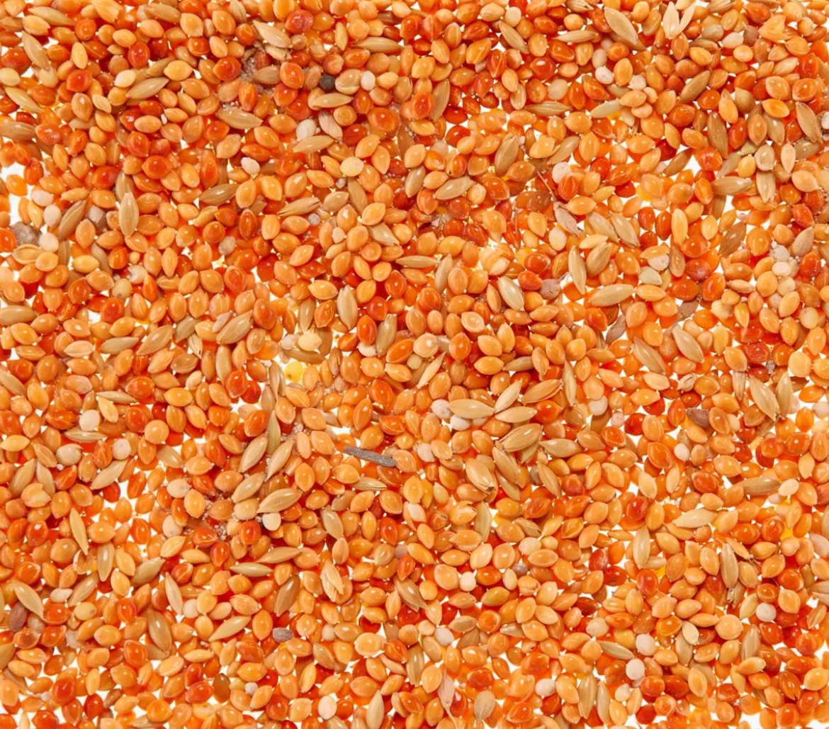 Dehner Lieblinge Leckerbissen für Sittiche und Exoten, 20 g