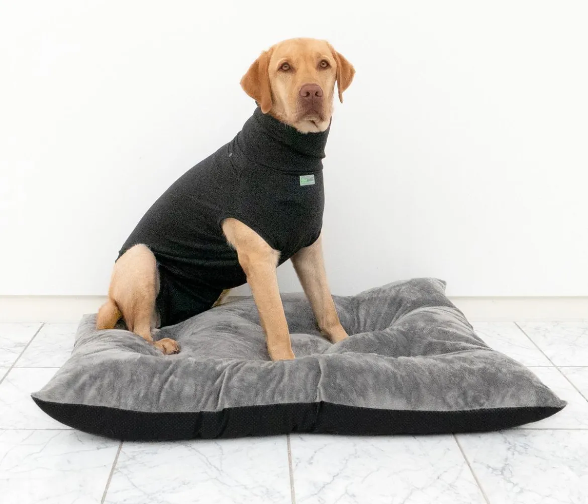 Dehner Lieblinge Post-OP-Body, schwarz