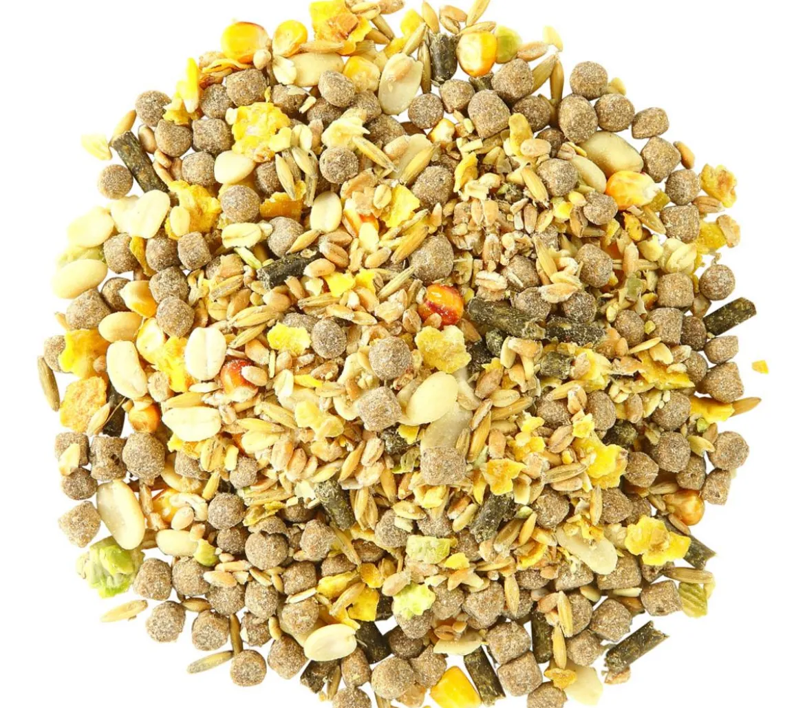 Dehner Lieblinge Ratten-Futter, 500 g