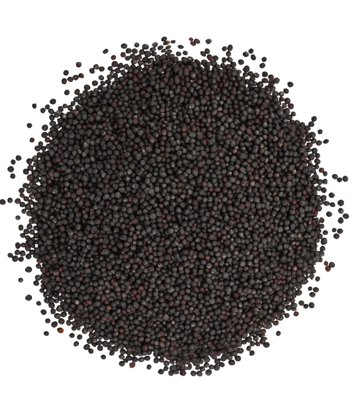 Dehner Lieblinge Rübsen, 1 kg