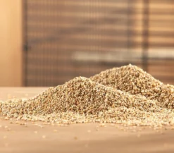 Dehner Lieblinge Senegalhirse, 1 kg