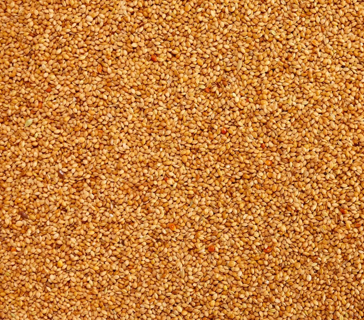 Dehner Lieblinge Senegalhirse, 1 kg