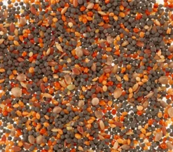 Dehner Lieblinge Singfutter für Kanarien, 20 g