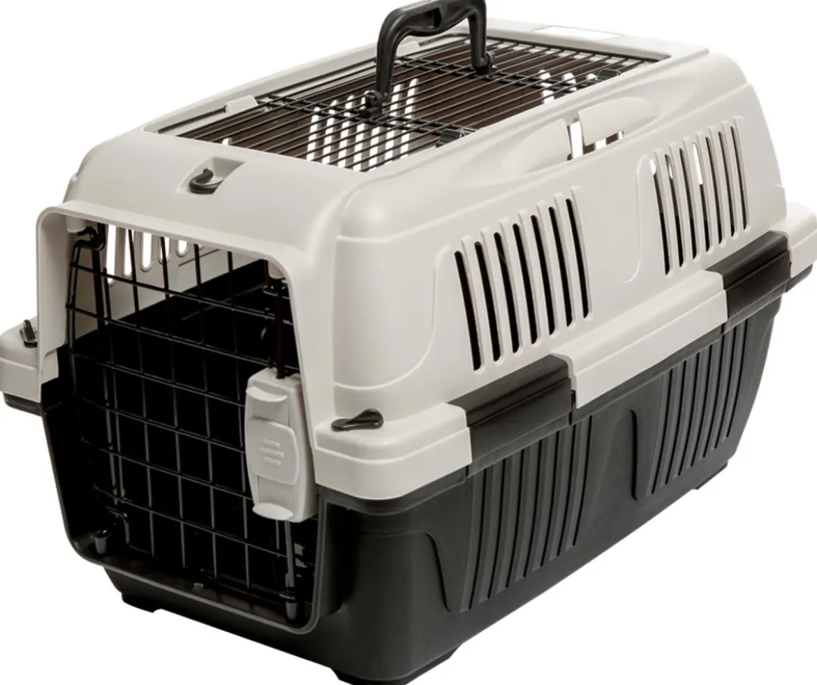 Dehner Lieblinge Transportbox Robbi