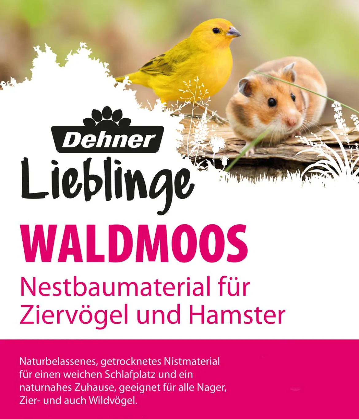 Dehner Lieblinge Waldmoos, 50 g