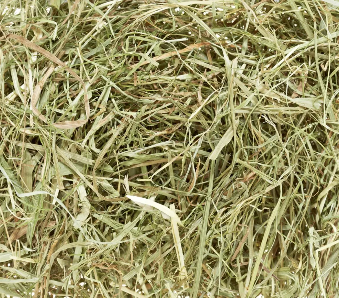 Dehner Lieblinge Wiesenheu, 800 g