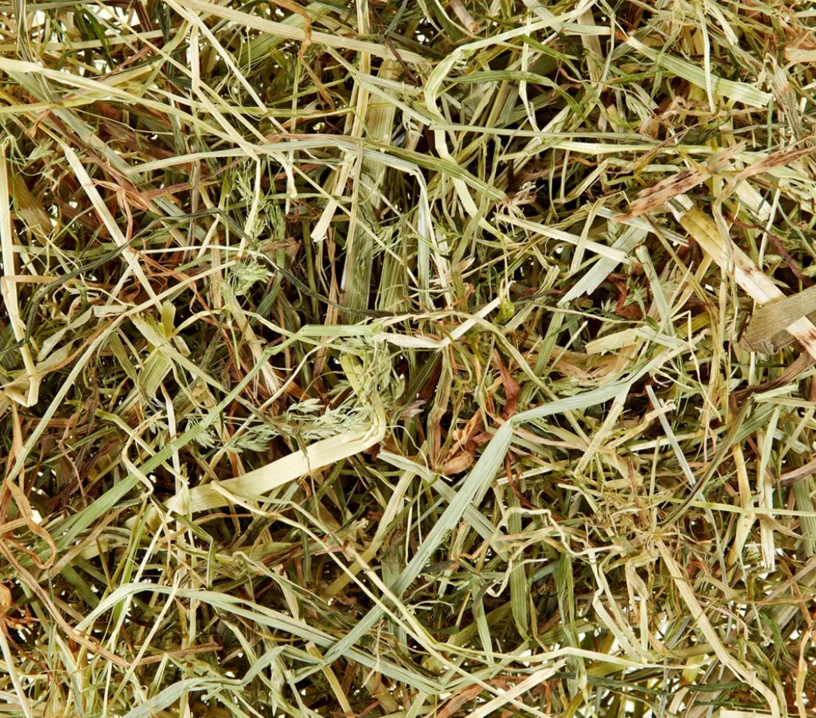 Dehner Lieblinge Wiesenheu, 3 kg